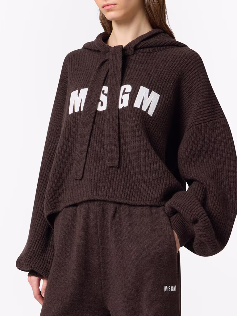 MSGM Cashmere-Wool Blend Oversized Hoodie